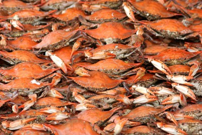 Higgins Crab House
